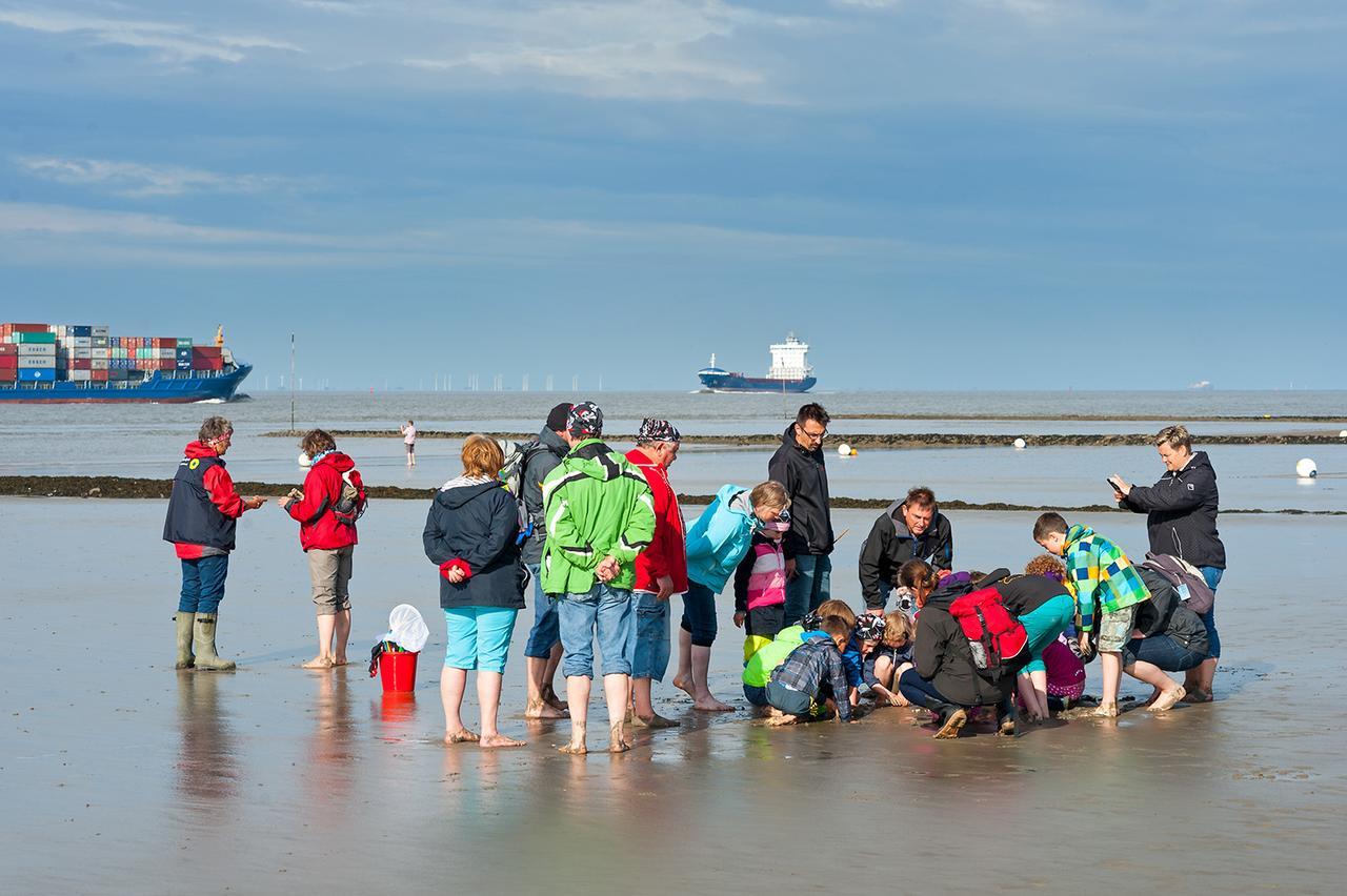 Ferienhof Lafrenz Leilighet Cuxhaven Eksteriør bilde